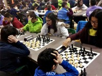 2016-provinciales-ajedrez2