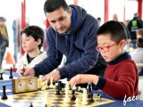 2017-beniganim-ajedrez-w01