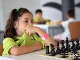 2017-ifa-alicante-ajedrez-w01